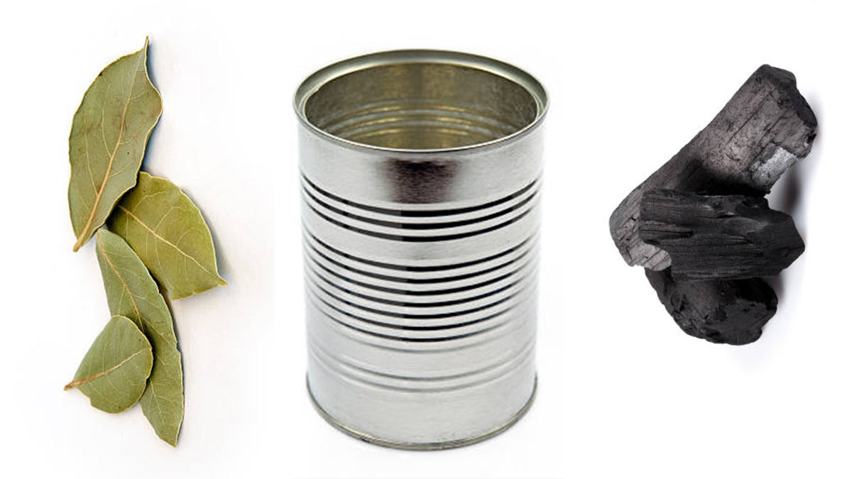 Ritual con hoja de laurel para atraer el dinero UnoTV