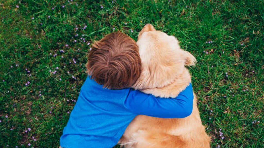 China entrenó a perros para ayudar a niños con autismo