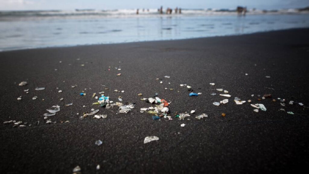 Buscar crear acuerdo para evitar la contaminación de plásticos en el mundo