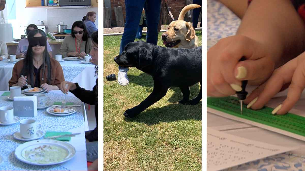 Escuela de perros guía ofrece recorridos para acariciarlos y desayunar con los ojos vendados