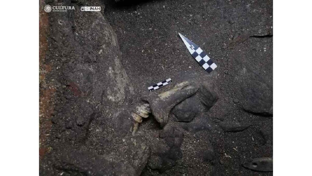 Fotos de los restos óseos hallados en el Chultún. Fotos: INAH