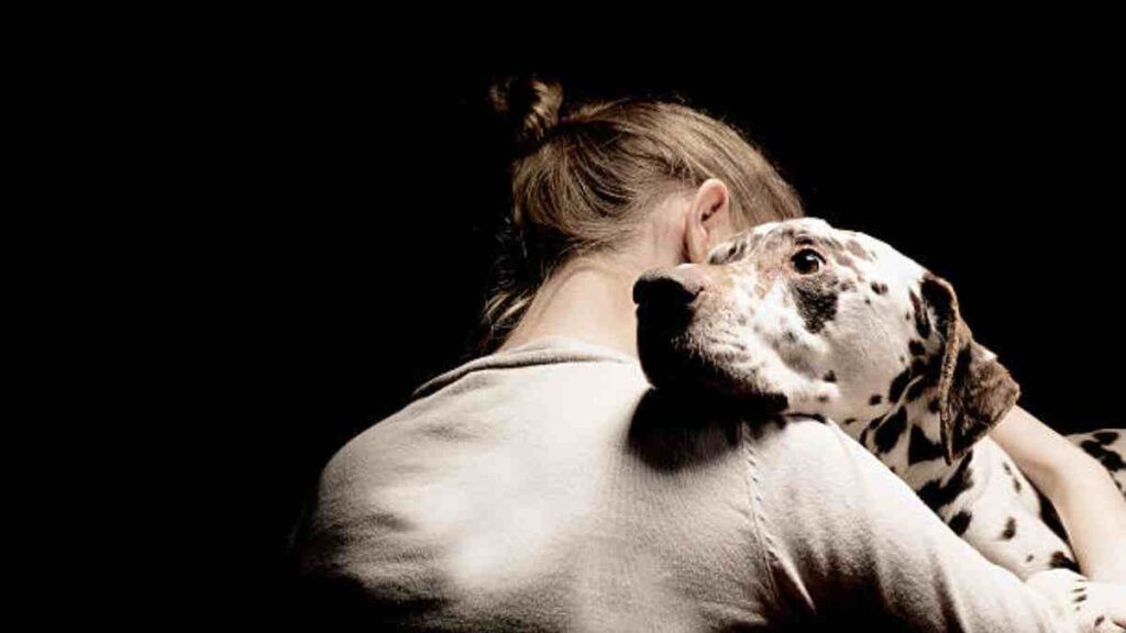 Diferencias entre perro guía, de asistencia y de apoyo emocional