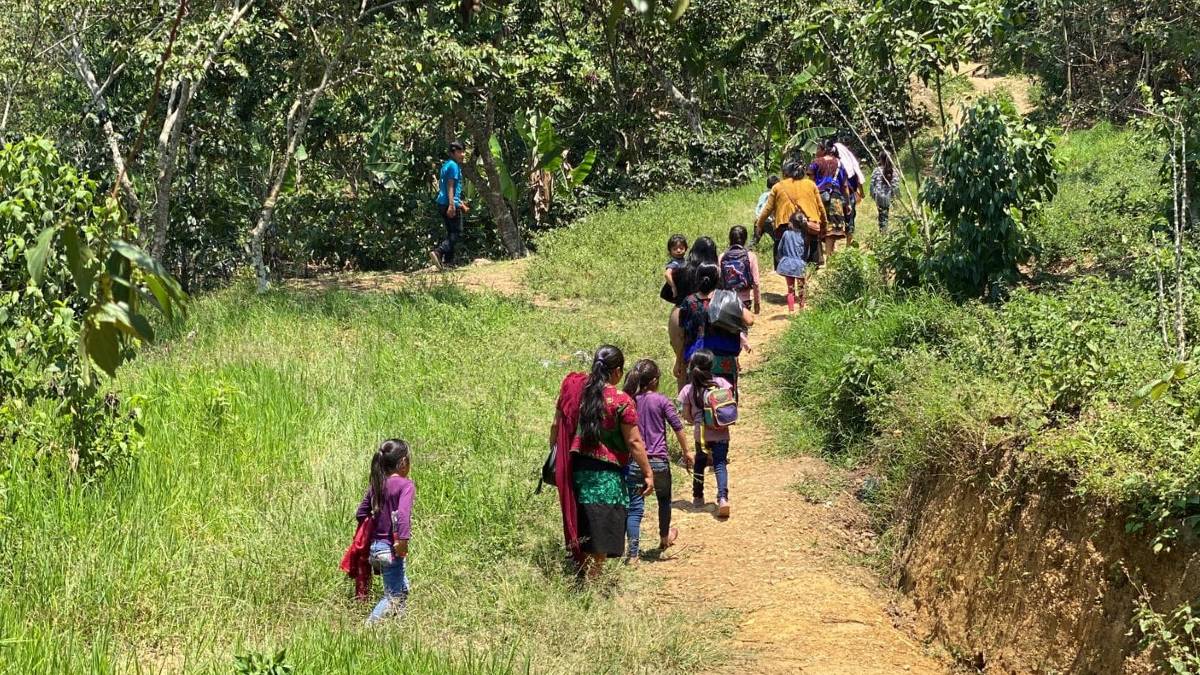 Crisis en Pantelhó: más de 240 familias escapan de la violencia en Chiapas