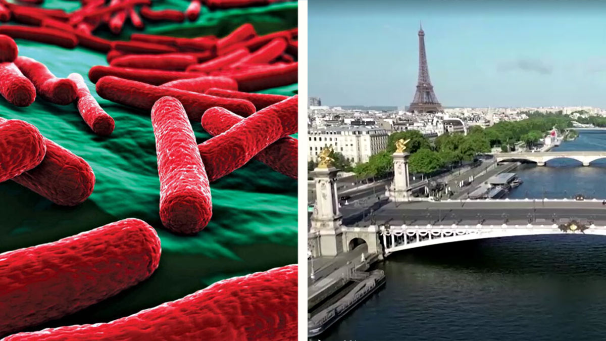 Alertan por E. coli en agua del río Sena, a casi 100 días de París-2024