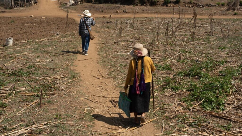 Fenómeno de El Niño en México registra temperaturas superiores a 45 grados en estados