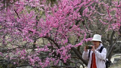 excursiones de primavera entre los jóvenes de China