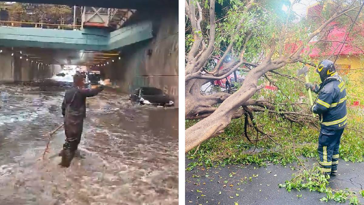 Lluvias en CDMX provocan inundaciones, encharcamientos y caída de árboles