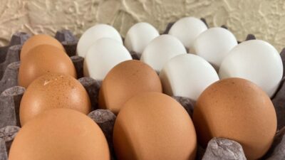 ¿Cuántos huevos al día puedes comer sin afectar el colesterol?