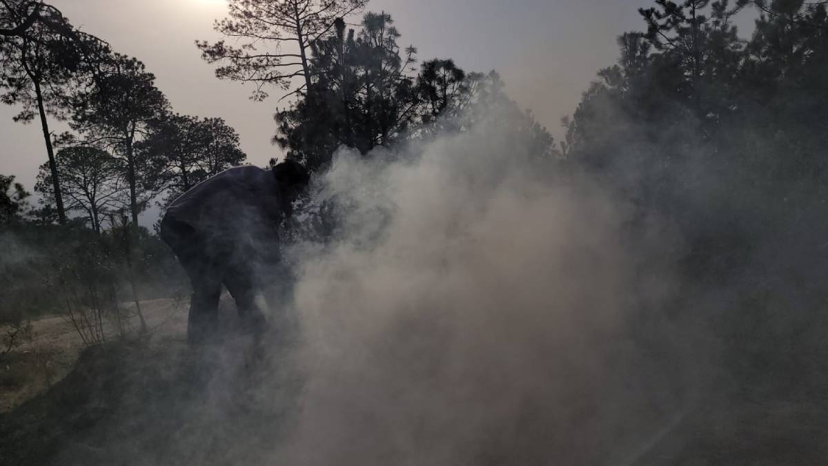 Extinguen al 100% incendio en Maltrata; van por el de Cofre de Perote, en Veracruz