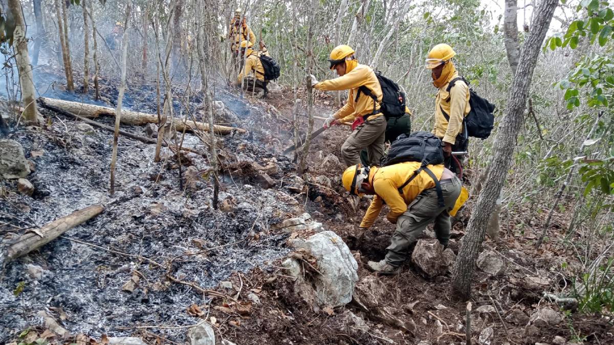 Arde el Parque Nacional Cañón del Sumidero, en Chiapas; incendio afecta seis hectáreas
