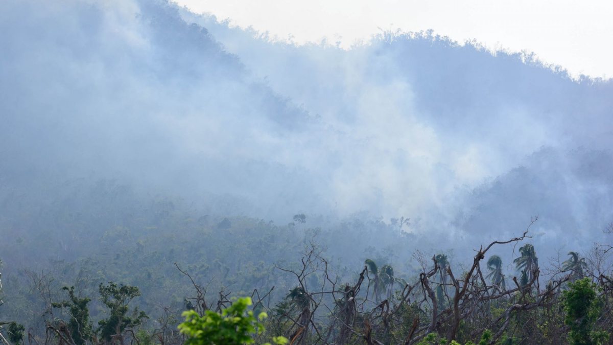 Incendios forestales amenazan Acapulco; autoridades suspenden clases por contaminación atmosférica