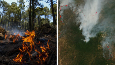 La NASA comparte una imagen satelital de los incendios forestales en el sur de México