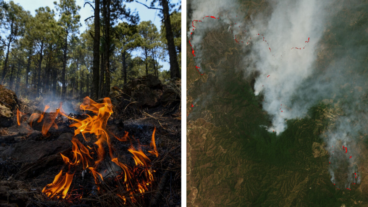 Incendios forestales en México: NASA revela impactante imagen satelital