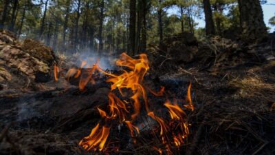 Jalisco: alerta atmosférica por incendio en Bosque La Primavera