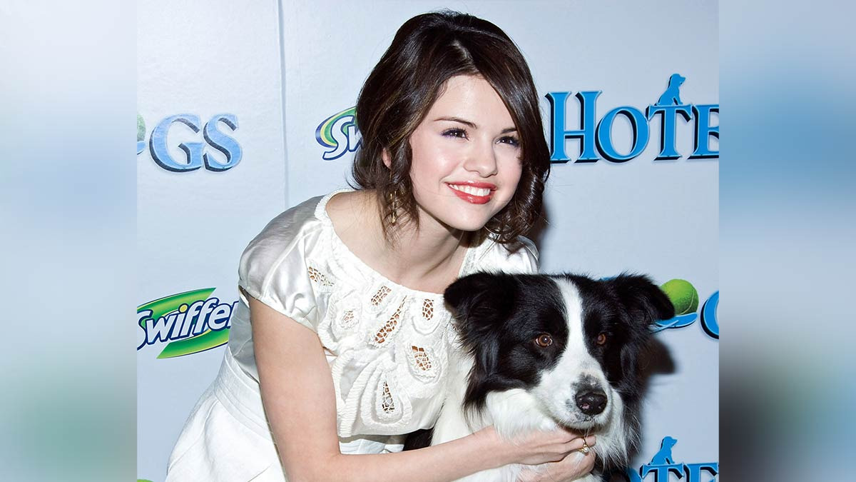 Selena Gomez pone a la venta edición limitada de juguetes para perros con originales diseños