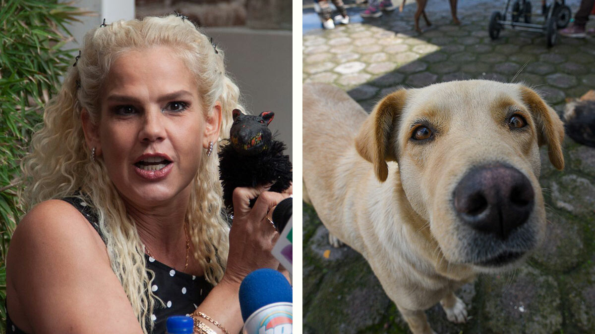 Niurka es vista en albergue para perros y en redes la acusan de adoptar lomitos para sacrificarlos en rituales de santería 