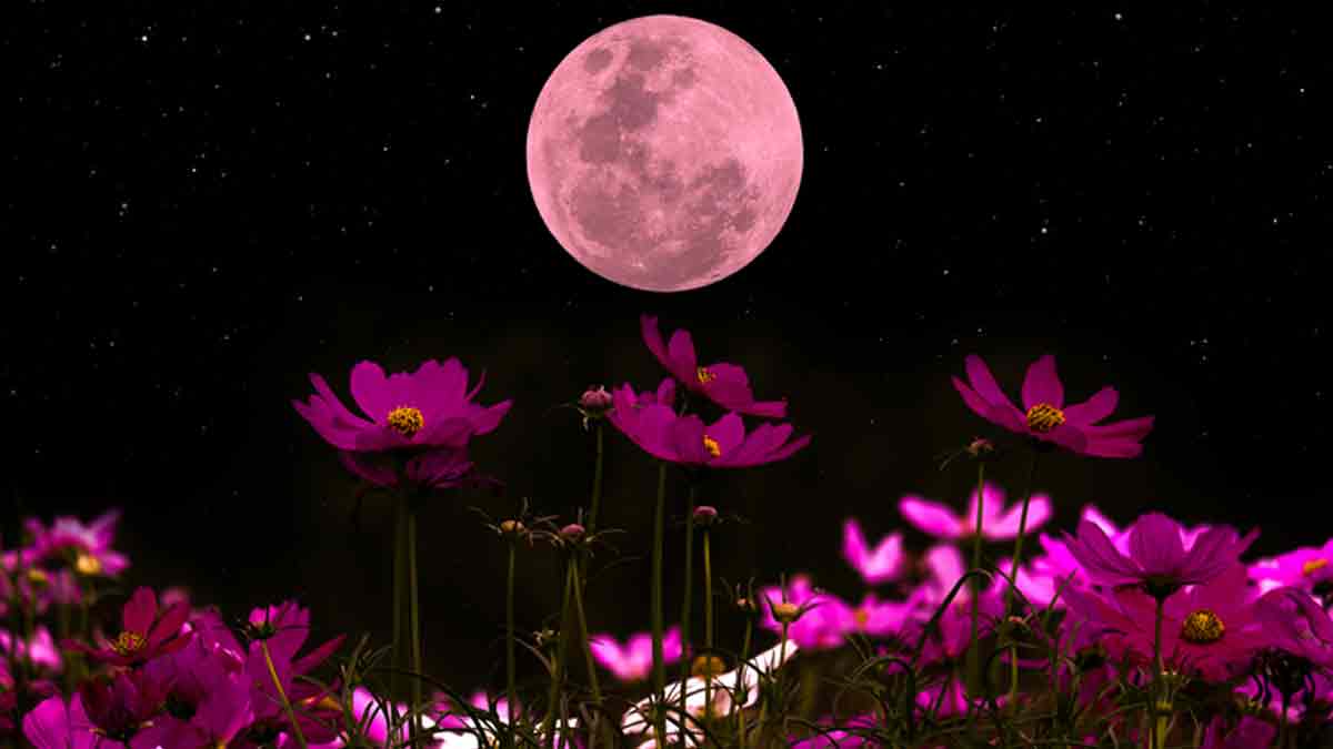 Luna llena de abril 2024: fecha y significado de la luna rosa