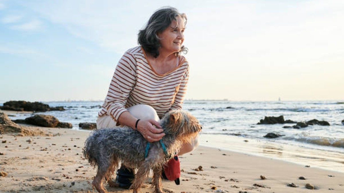 Madre cumple promesa póstuma; encuentra hogar para los perros de su hijo víctima de cáncer