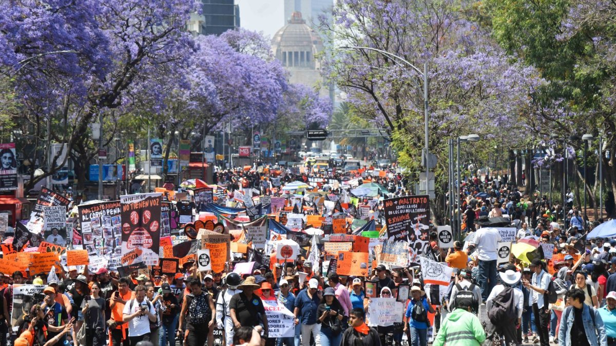 Con 2 marchas y 10 mítines programados, la CDMX este 29 de abril de 2024