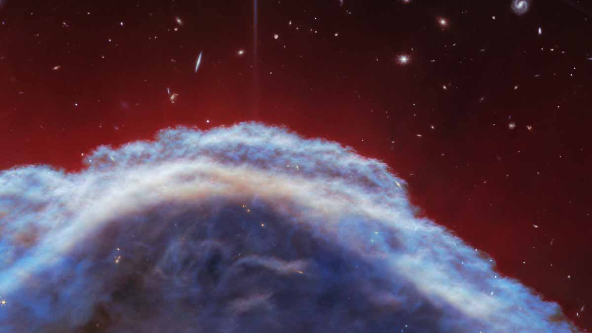 The Webb Telescope captures a very striking image of the “Horsehead” Nebula