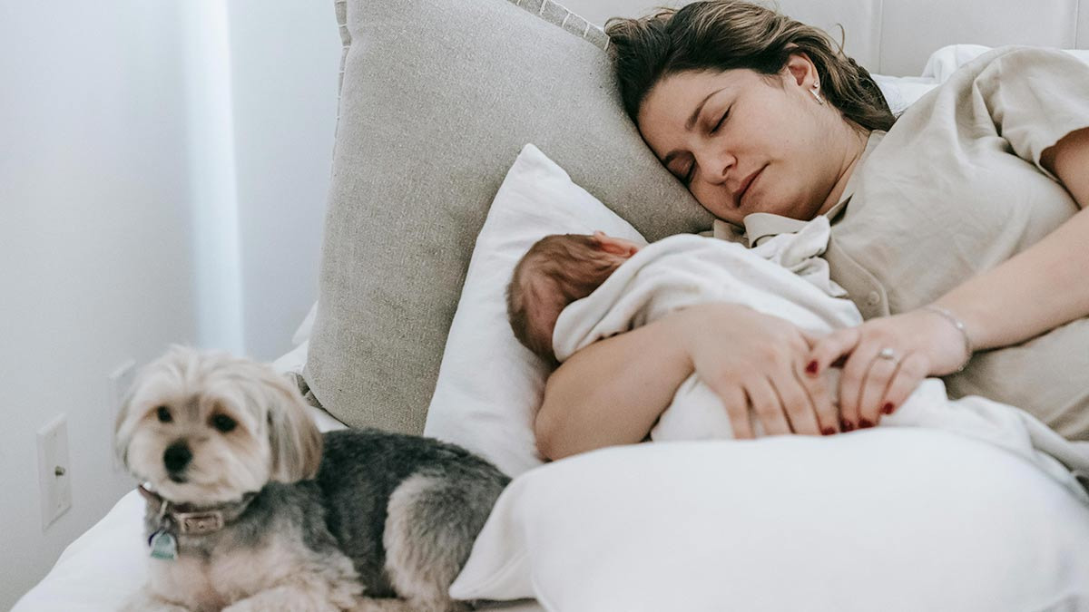 Que tu perro duerma en la habitación puede estar perjudicando tu sueño, según la ciencia