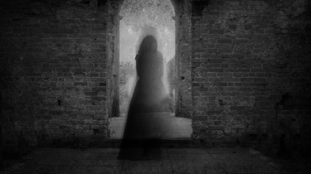 En Zinacantepec Edomex Captan Extra a Presencia Que Se Lamenta UnoTV