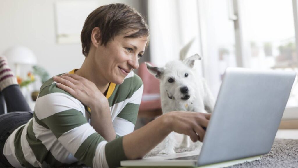 de-cuanto-es-la-multa-por-no-tener-a-tu-perro-o-gato-registrado-en-el-ruac