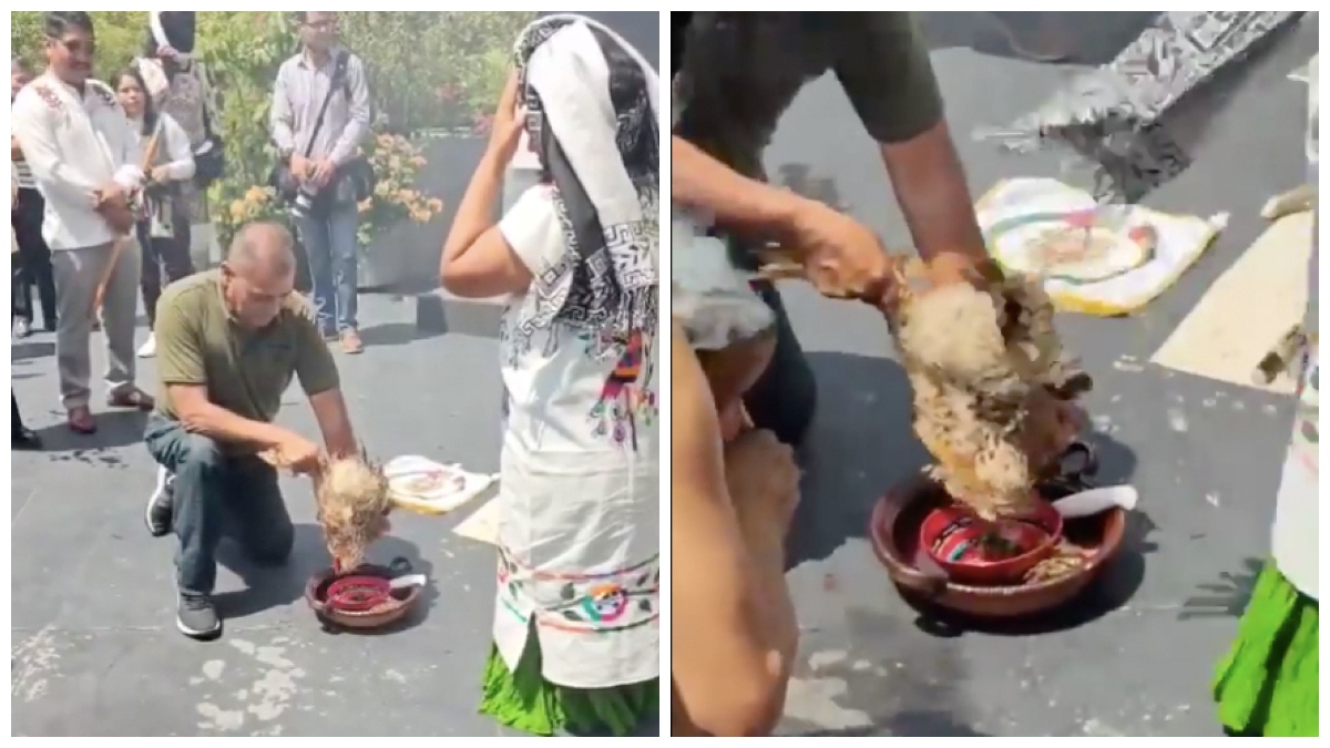 FUERTE VIDEO: realizan ritual y sacrifican gallina en el Senado