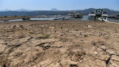 Squía en el embarcadero de la presa Miguel Alemán en Valle de Bravo, Edomex