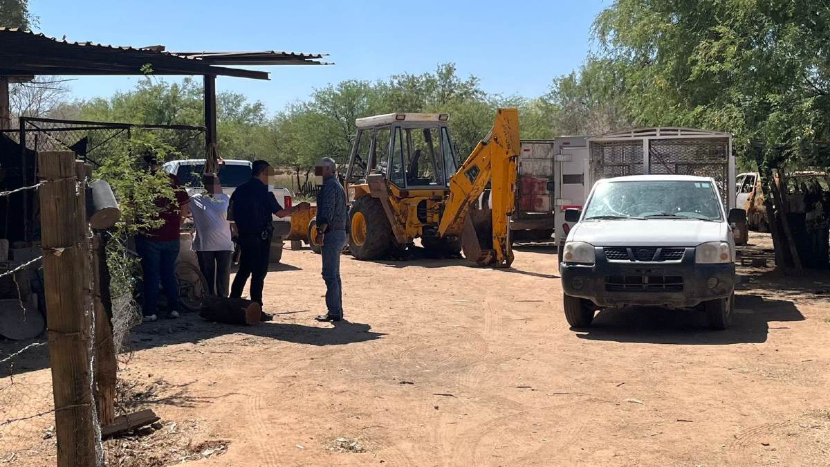 Crueldad en rancho de Hermosillo: investigan muerte de perros, gallinas y borrego