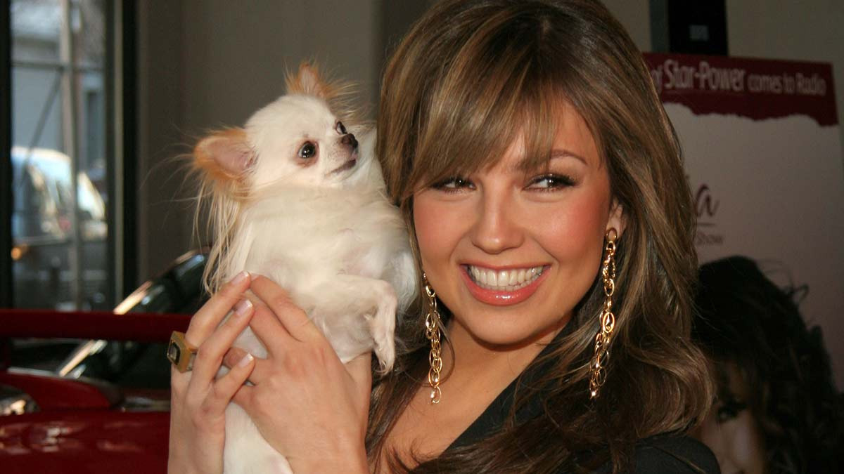 ¿Thalía regaló a sus perros después de 10 años de estar con ella?