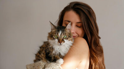 Por qué los gatos manipulan más a las mujeres