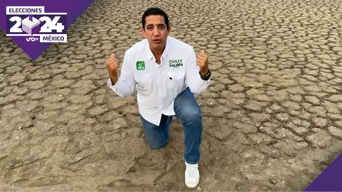 Promete Chuy Valdés 1 árbol por voto al Partido Verde
