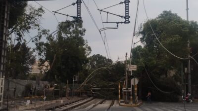 Árboles caídos en Tren Ligero en la CDMX