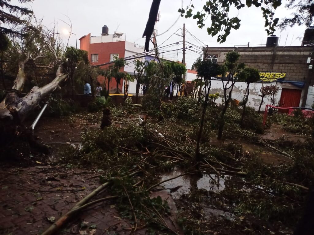 Árboles caídos en Puebla por tormenta