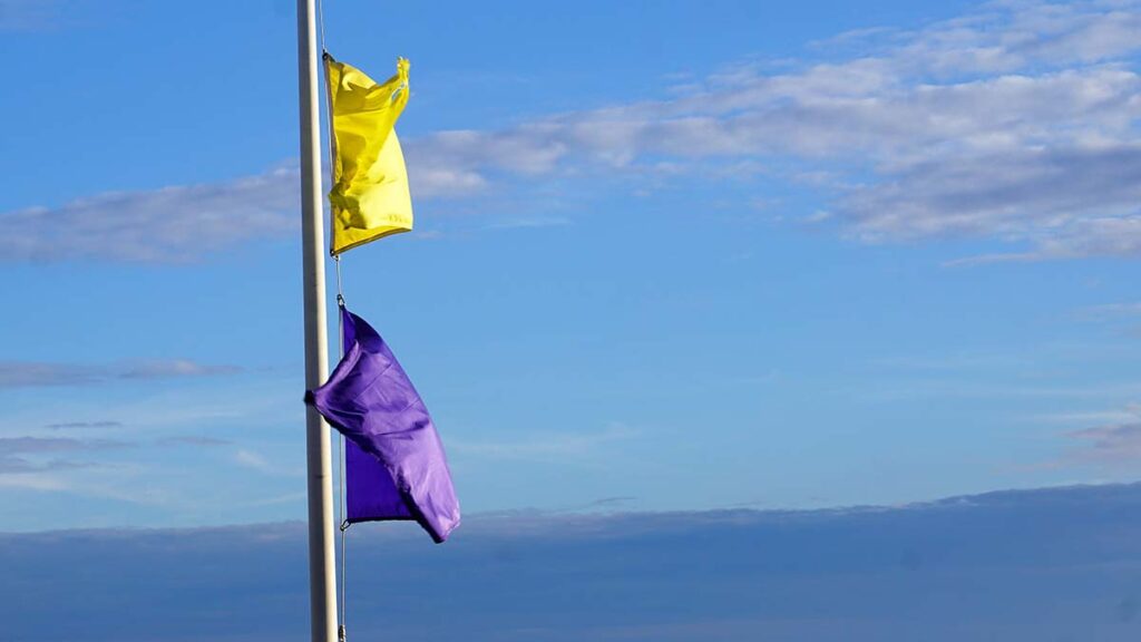 Banderas en playa de Puerto Vallarta