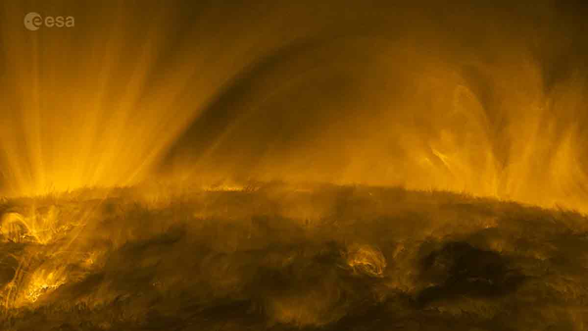 Captan increíbles fenómenos “esponjosos” en la corona del Sol: VIDEO