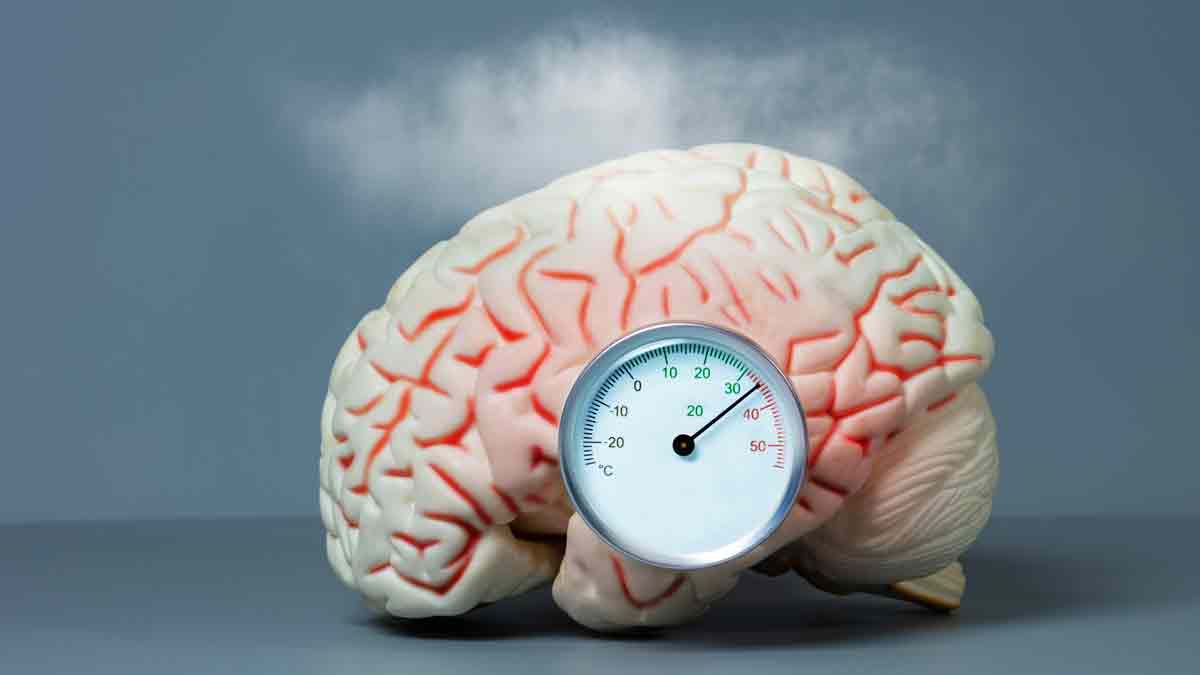 Estrés crónico puede matar las neuronas y afectar gravemente la memoria: UNAM