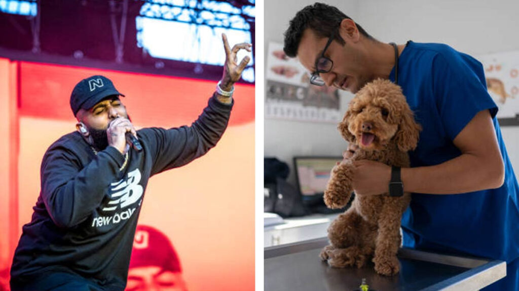 Fundación Eladio Carrión esterilización mascotas