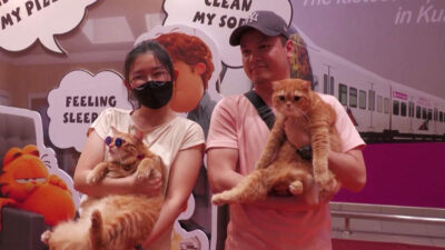 Gato pelirrojo gana el concurso de imitadores de Garfield en Malasia