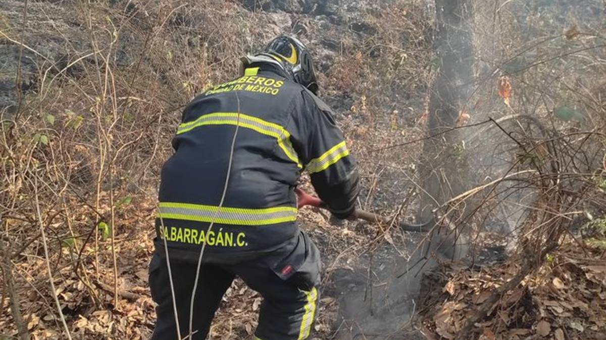 ¿Qué provocó el incendio en el Bosque de Tlalpan?