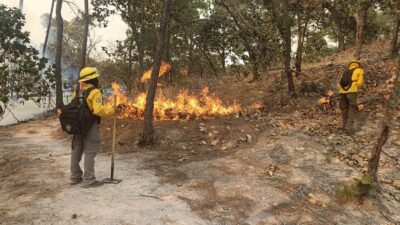 Incendio forestal en Valle de Bravo