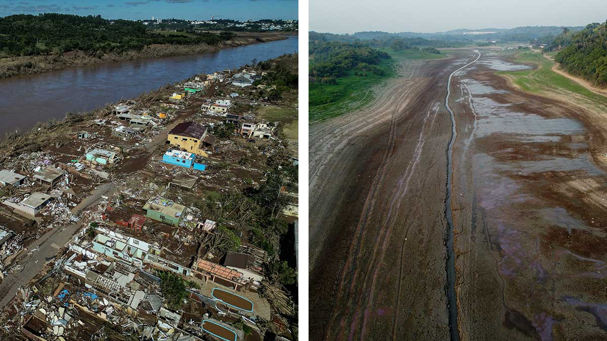 Cuando los bosques caen, las inundaciones suben: la deforestación expone la trágica vulnerabilidad del sur de Brasil