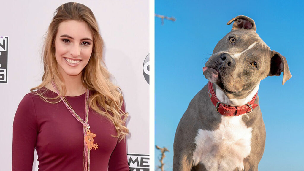 Lele Pons sufre mordida pitbull