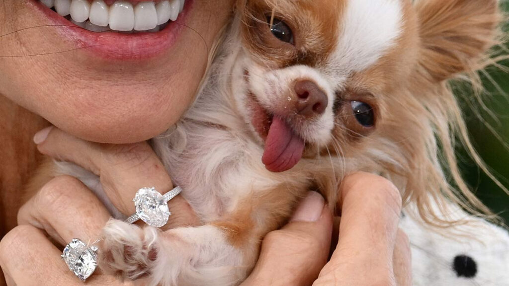 Demi Moore aparece en Cannes en compañía de su perro Pilaf