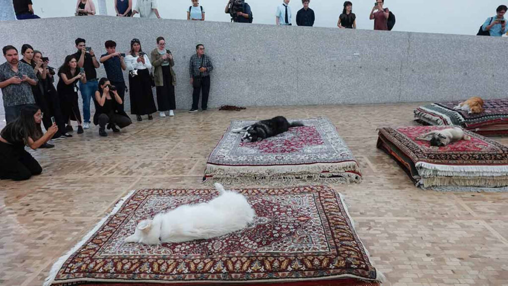 Museo Tamayo no volverá a usar perros en performance