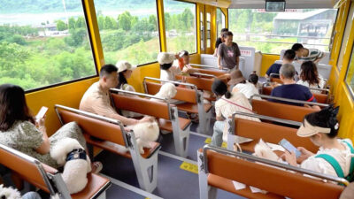 Mascotas viajan en teleférico de China y las imágenes te derretirán el corazón