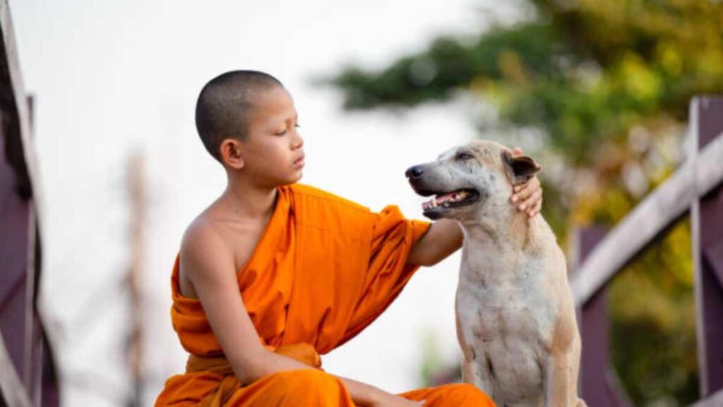 Día de Vesak: budistas bendicen a mascota
