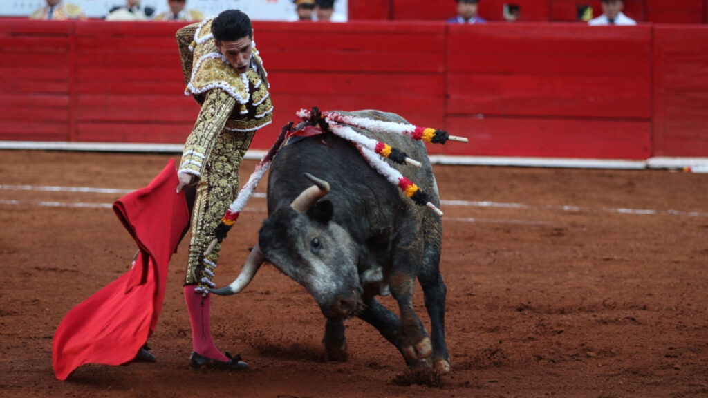 Celebración de corridas de toros en la Plaza México.