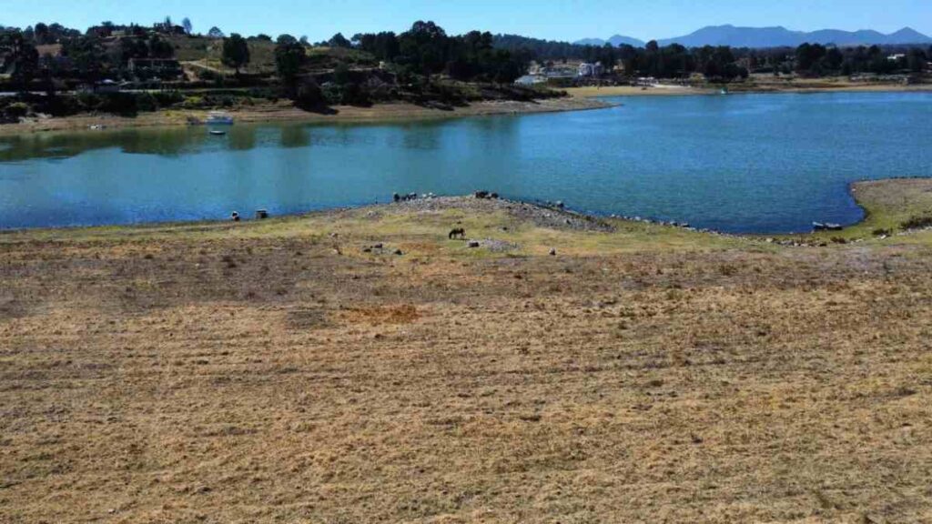 Conagua reporta déficit en almacenamiento de agua en presas